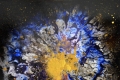 Enrico Magnani,  Supernova No. 9, 2017, acrilico su cartone patinato, cm. 100x76  Enrico Magnani