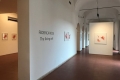 Federica Rossi, The living cell, allestimento