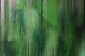 Federico Aprile, Green Rain, 2020, olio su tela, cm 70x50
