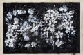 Marcello Reboani, Prunus Domestica, 2016, olio su tavola, cm. 42x60