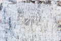 Antonio Zago, Pulsioni sbiancate, 2009, olio su tela, cm. 150x150