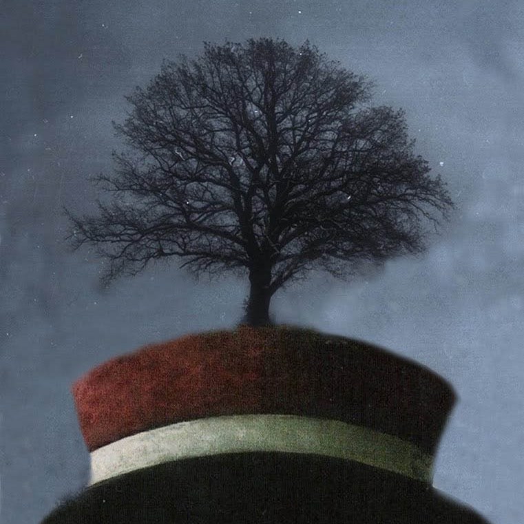 Profili