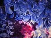 Supernova. Birth to Life - Vita alla Vita