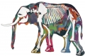 Francesco Bancheri, Bones - elefante, 2013, collage su tela, cm. 140x250