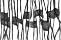 Antonella De Nisco e Giorgio Teggi, Aspettando la primavera, leporello disegnato a penna a sfera, cm. 18x1875, Atrio Esagono terzo piano, Villa Verde, Reggio Emilia