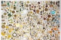 Alice Padovani, Chrysina resplendens nest, Serie Collezione di una gazza ladra, 2020, tecnica musta, assemblaggio polimaterico, cm. 100x100x15 