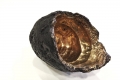 Alice Padovani, Uno, serie Bronze cocoons, 2020, bronzo, cm 12x9x13