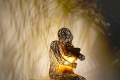 Bonzanos Art Group, Notte, 2015, scultura in filo di rame, tessuto di rame, lampada led, basamento in forex, cm. 96x42x40, dimensioni con basamento cm. 180x42x58