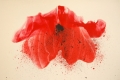 Carlo Ferrari, Studio in Rosso, 2012, acrilico acquerellato su carta, cm. 17,5 x23,5