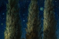 Ciro Palumbo, L'or di notte, 2022, olio su tela, 50x50 cm