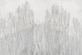 Elisa Bertaglia, Cendriers, 2018, carboncino e grafite su fogli trasparenti di poliestere sovrapposti, cm. 30x23