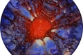 Enrico Magnani, Supernova Dark Matter R4-19, 2019, acrilico e pigmento fosforescente su pannello multistrato, diametro cm. 25 - con luce diurna 