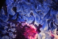 Enrico Magnani, Supernova No. 5, 2017, acrilico su cartone patinato, cm. 100x76, particolare,  Enrico Magnani