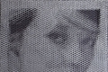 Giorgio Tentolini, MESH, 2016, Rete metallica a maglie esagonali intagliata a mano, cm. 94x94 