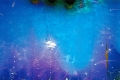 Giulia Lazzaron, L'universo riflesso in una piscina, 2018, incisione diretta su fotografia ottenuta da pellicola modificata chimicamente, carta fotografica applicata su di-bond, cm 30x45. Esemplare 1/1.