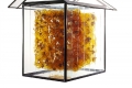 Jessica Carroll, Casa Api (Bees' house), 2010, vetro, rame, pece greca e cera d'api, cm 38x38x30