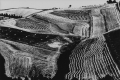 Mario Giacomelli, a S. Angelo, 1973, Gelatine silver print, cm. 30x40, private collection