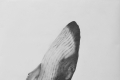 Massimiliano Galliani, disegno E matita, 2019, matita su carta, 140x90 cm