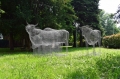 Michele Liparesi, Bestiary - Vacche, 2019, rete metallica modellata, cm 250x400 circa 