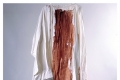 Hermann Nitsch, Omaggio a Don Giuseppe Puglisi, 1993, casula e sangue, cm 190x70 circa
