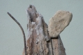 Corrado Askerz, Preghiera, 2009, legno unico, ferro, pietra, fuoco, cera, cm. 140x36x28