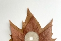 Susanna Bauer, Centered XVI, 2023, foglie di platano e filo di cotone, 40x 40 cm. Ph. Susanna Bauer. Courtesy Accesso Galleria