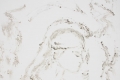 Grazia Badari, Minerva, 2018, polimaterico con cenere e collanti, cm. 100x00