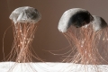 Giuliana Bellini, Colonia di meduse, 2006, alluminio, rame, dimensioni variabili