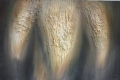 Stefano Grasselli, La grande mostruosa ondata (ispirato alla tragedia del Vajont), olio su tela