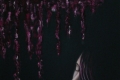 Annalisa Mori, Rosso di sera..., 2011, olio e pasta acrilica su tela, cm. 60x60