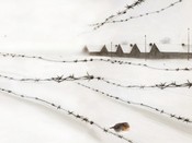 A.R.S. - Art Resistance Shoah, conferenza e mostra