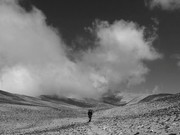 Desert Project - ADAMstudio11 (Francesca Consigli e William Santoleri)
