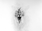 Premio Massimiliano Galliani per il disegno under 40 