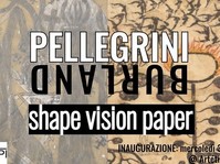 Shape Vision Paper - Simone Pellegrini e François Burland
